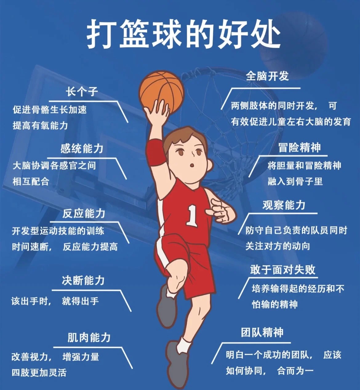篮球训练法读后感怎么写_2